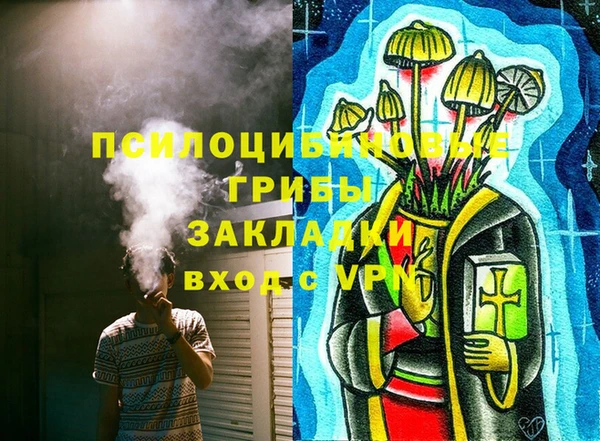 МДПВ Алексеевка