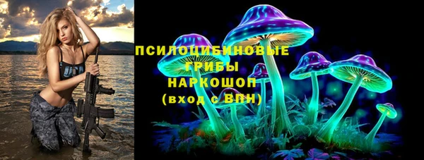 МДПВ Алексеевка
